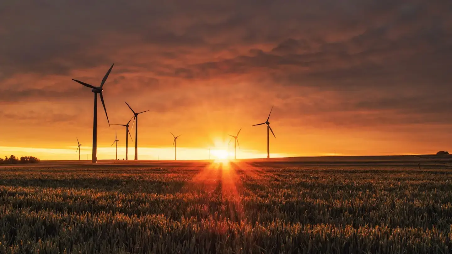 Éoliennes dans un champ de blé au coucher du soleil